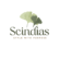 transperent logo
